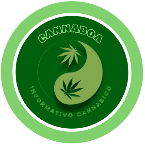 CannaBoa - Camisetas e produtos personalizados