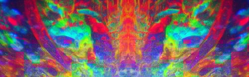 Psicomapa - Camisetas e produtos personalizados