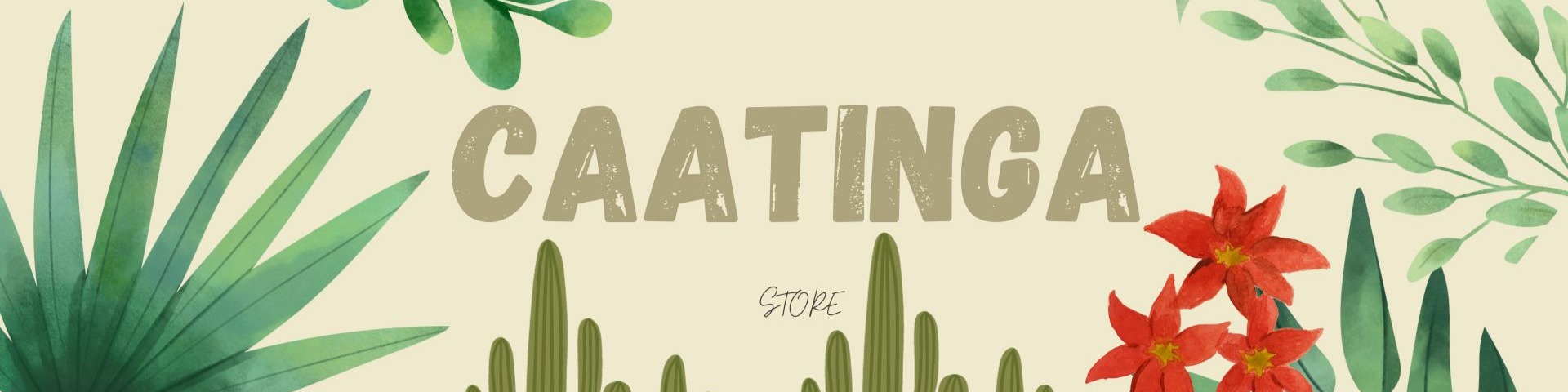 Nome da loja  CAATINGA STORE