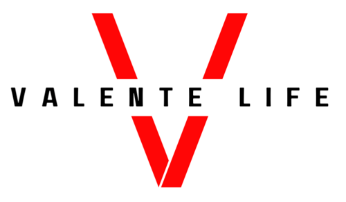 Logo da loja Valente Life