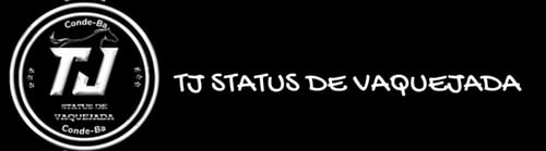 Logo da loja TJ STATUS DE VAQUEJDA
