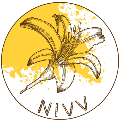 Logo da loja NIVV
