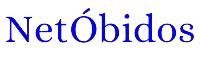 Logo da loja NetÓbidos