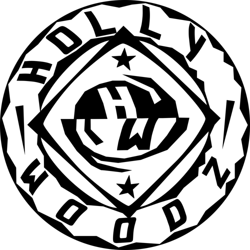 Logo da loja Hollywoodz Co.