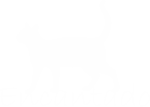 Logo da loja Gato Encantado