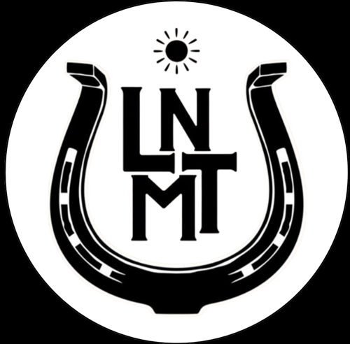 Logo da loja La na minha terra