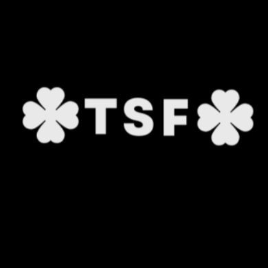 Logo da loja The Star Fashion 