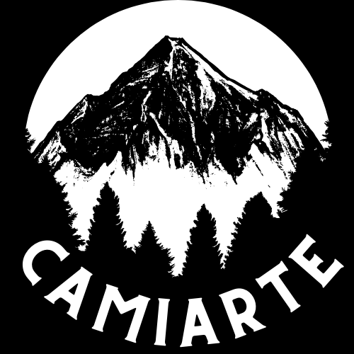 Logo da loja Camisa Arteira