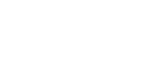 Logo da loja Night Bird