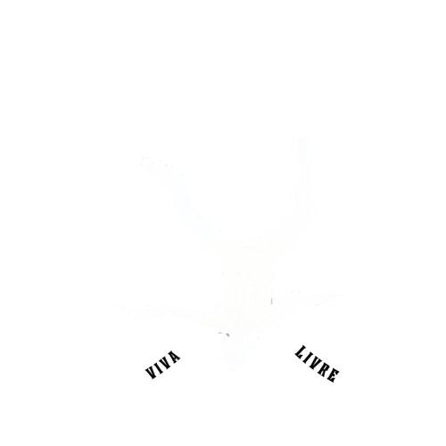 Portal Radical - Camisetas e produtos personalizados