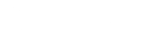 Logo da loja Scarnezzi Company