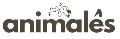Animalês - Camisetas e produtos personalizados