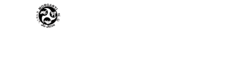 Logo da loja Morganti Store