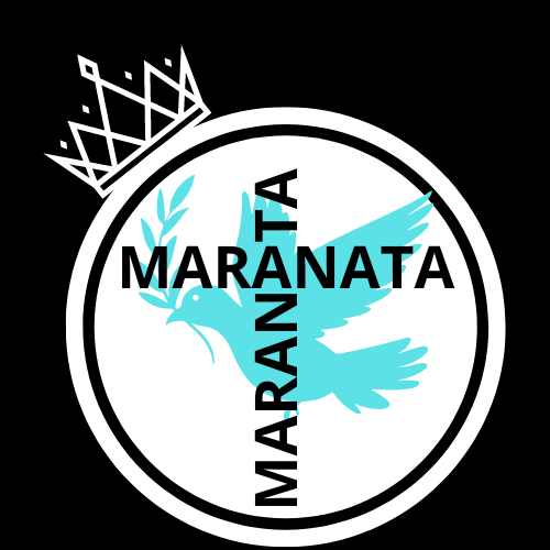 Logo da loja Tomstore