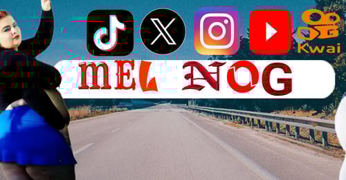 Logo da loja MEL NOG