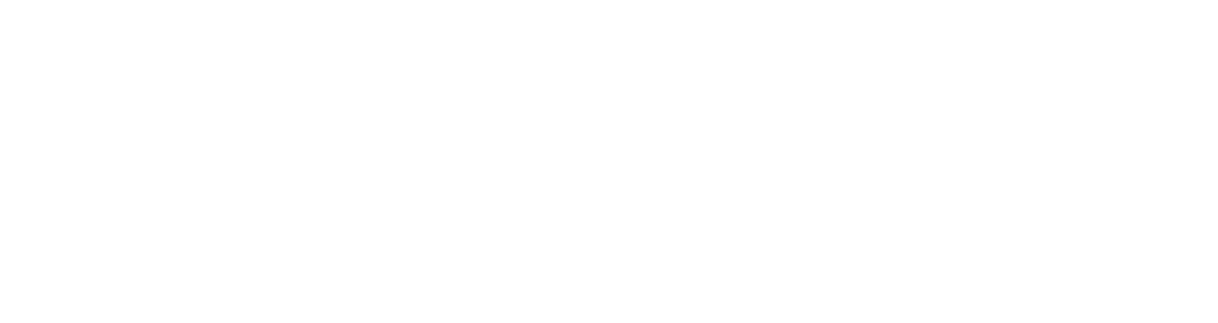 Logo da loja 