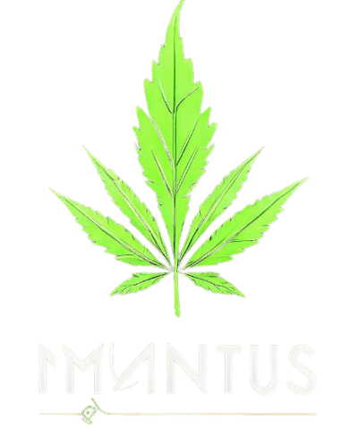 Mantus - Camisetas e produtos personalizados