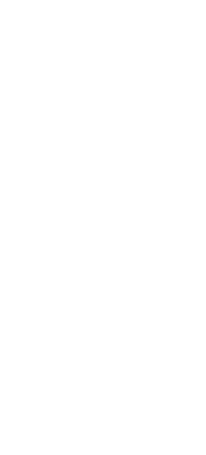 Posterit