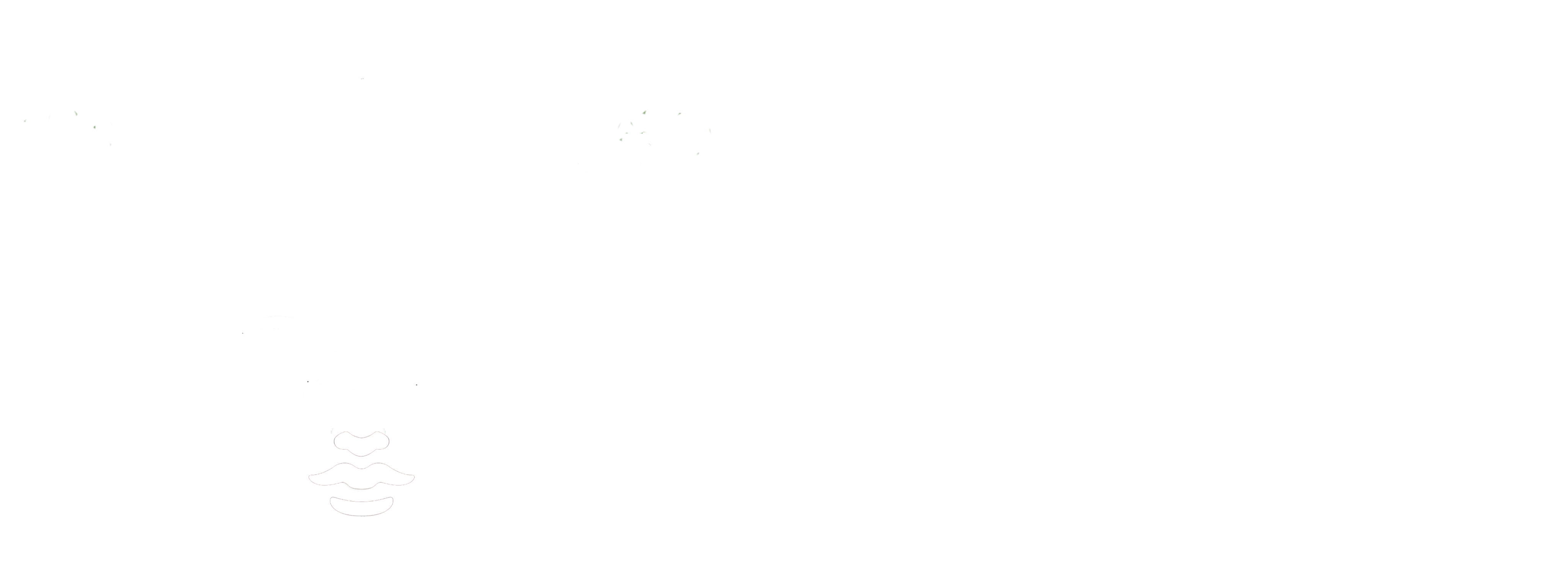 Medusa808