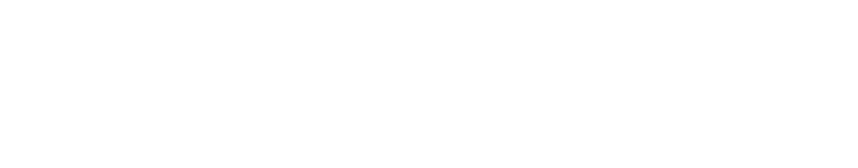 Live Karaoke Store