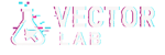 Vector Lab