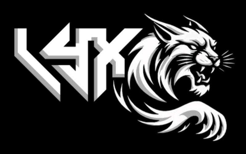 LYX STYLE