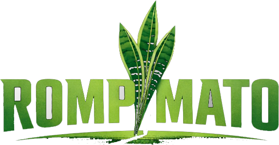 Rompimato