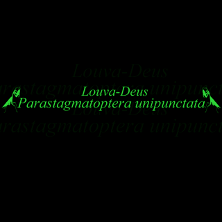 Nome do produto Louva-Deus (Oversize)