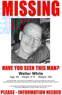 Nome do produtoCamiseta Walter White Missing - Breaking Bad
