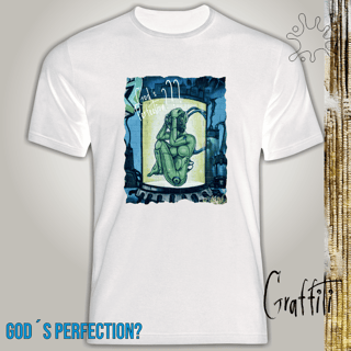 Nome do produto Camiseta Graffiti Perfeição de Deus?