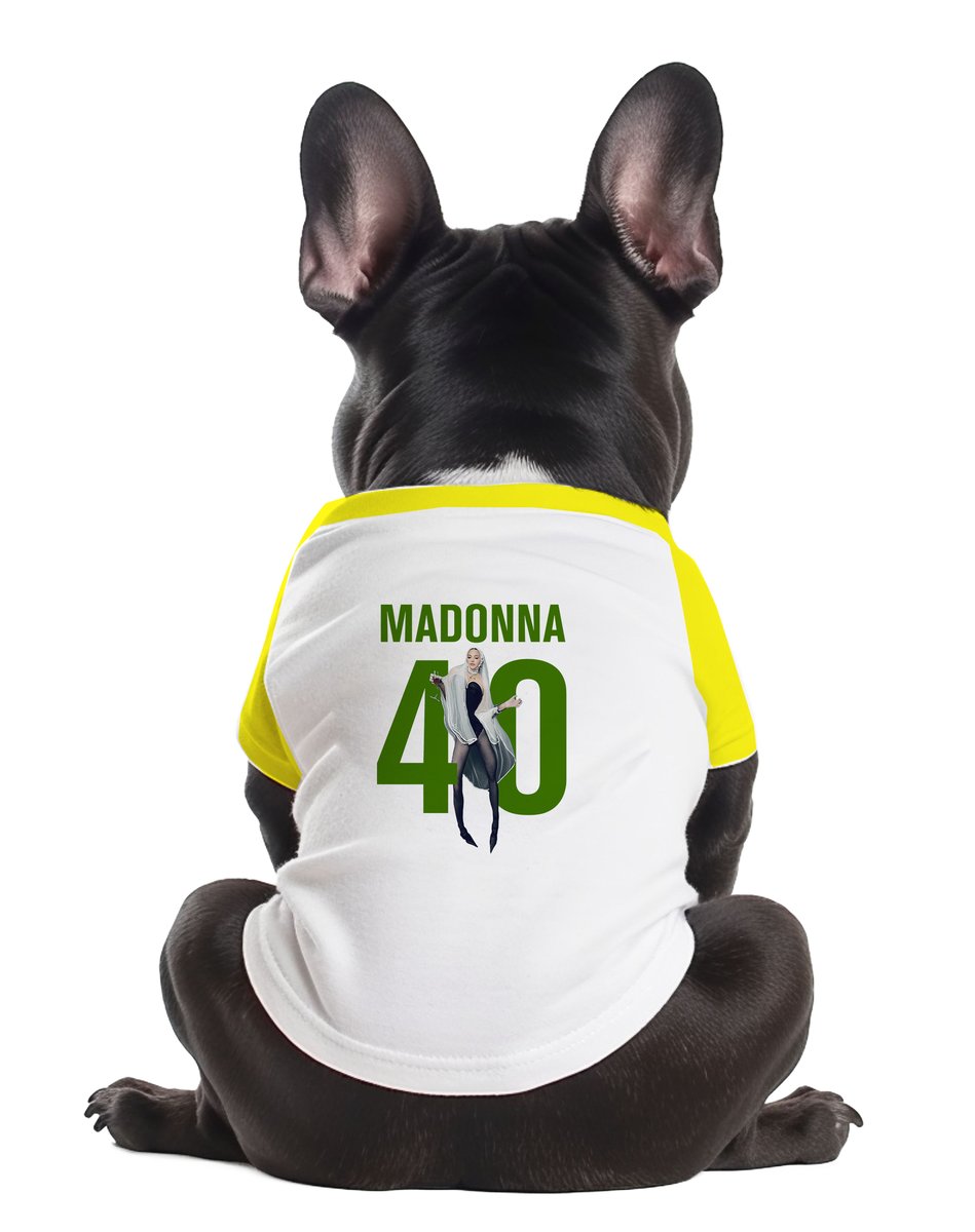 Nome do produto: Camiseta Pet (Madonna 40 anos)