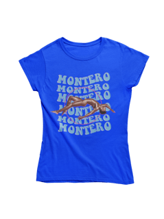 Nome do produto LIL NAS X [Montero]