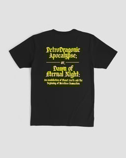 Nome do produtoCamiseta King Gizzard & the Lizard Wizard Petro Mind The Gap Co.