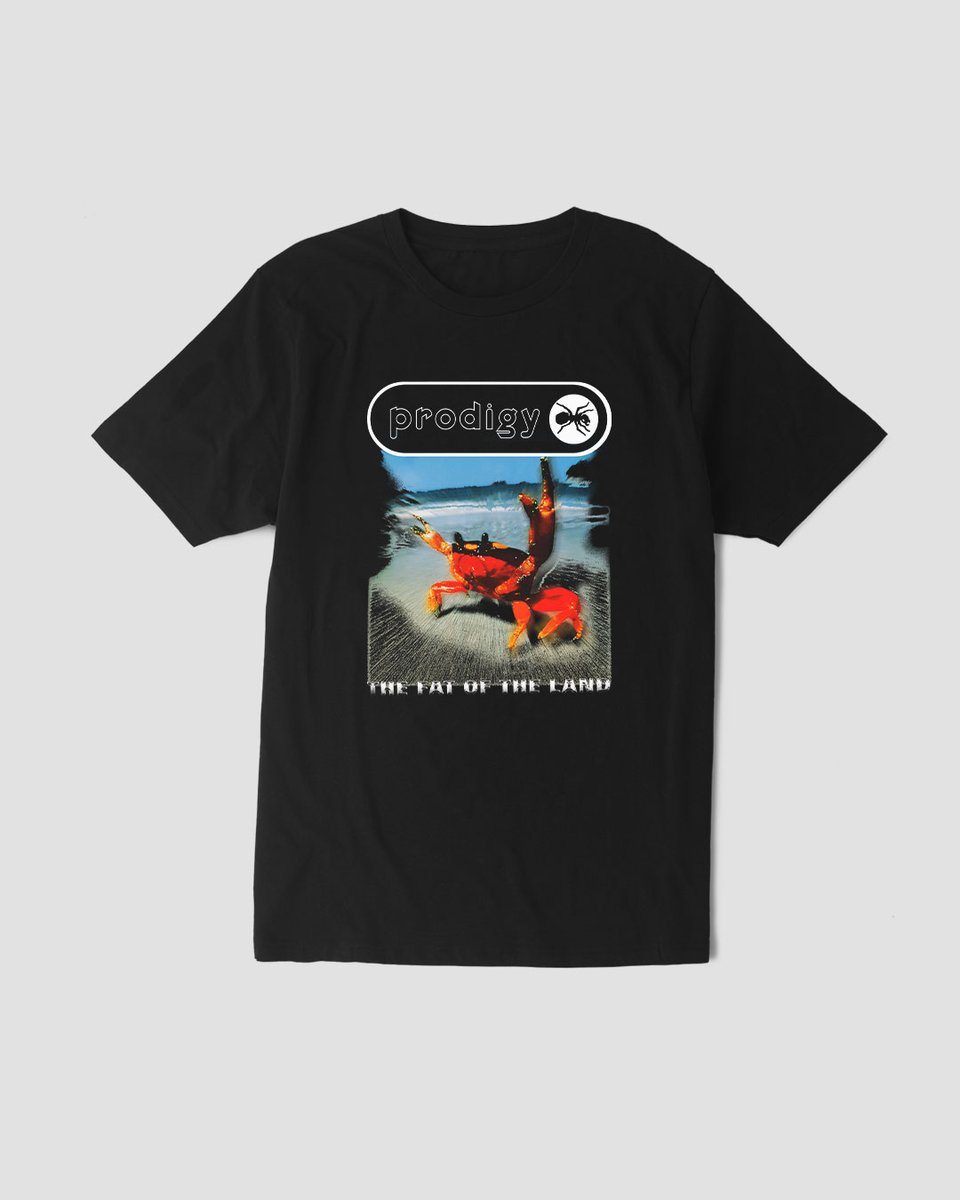 Nome do produto: Camiseta Prodigy Fat Mind The Gap Co.
