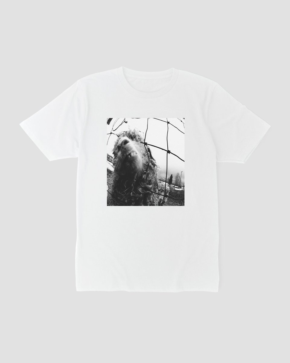 Nome do produto: Camiseta Pearl Jam VS Mind The Gap Co.