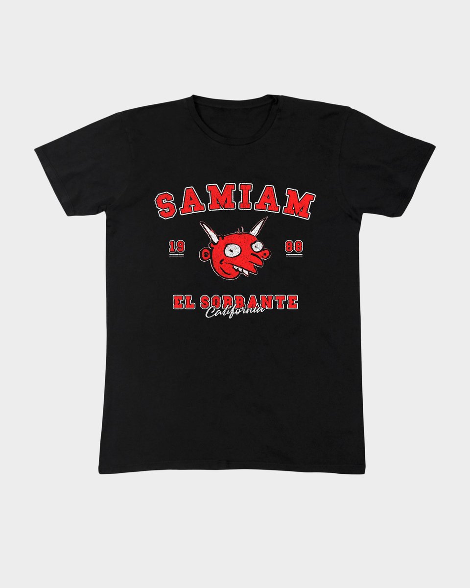 Nome do produto: Camiseta Samiam College Mind The Gap Co.