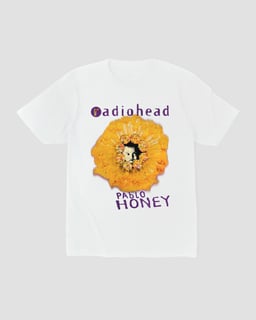 Nome do produtoCamiseta Radiohead Pablo Mind The Gap Co.