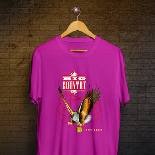 Nome do produtoCamiseta Big Country - The Seer