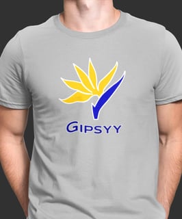 Nome do produto CAMISETA APLICATIVO GIPSYY