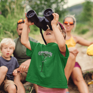 Nome do produto Araucária (inf)