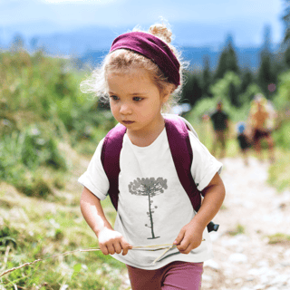 Nome do produto Araucária (inf)