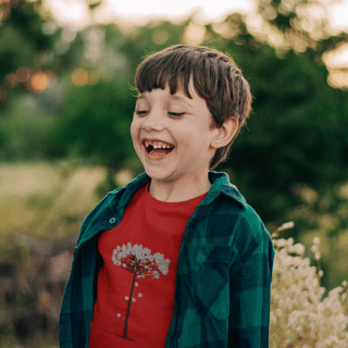 Nome do produto Araucária (inf)