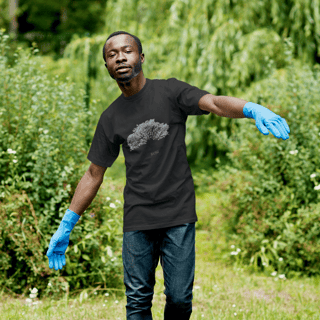 Nome do produto Baobá brasileiro