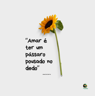 Nome do produto Camiseta Coleção Deguste a Frase