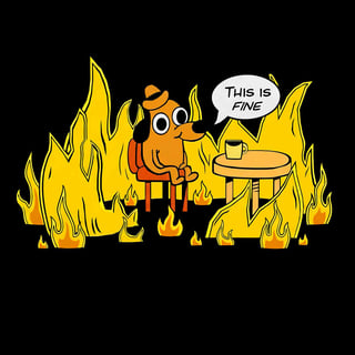 Nome do produto Camiseta This Is Fine | Humor Irônico & Cultura Meme