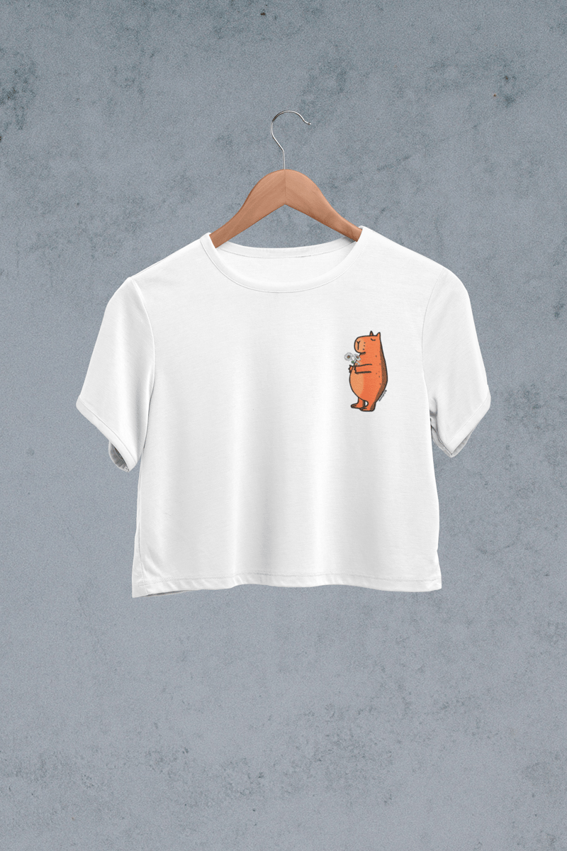 Nome do produto: Cropped \