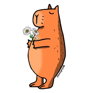 Nome do produto Capivara 