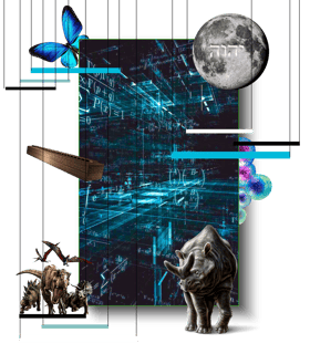 Nome do produto Quadro Animais