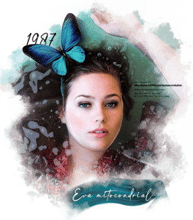 Nome do produto Eva Mitocondrial