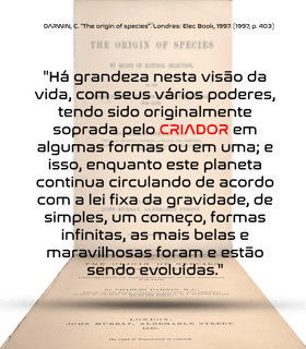 Nome do produto Criador Soprou